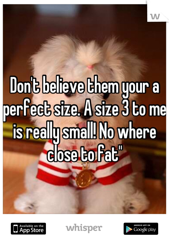Don't believe them your a perfect size. A size 3 to me is really small! No where close to fat"