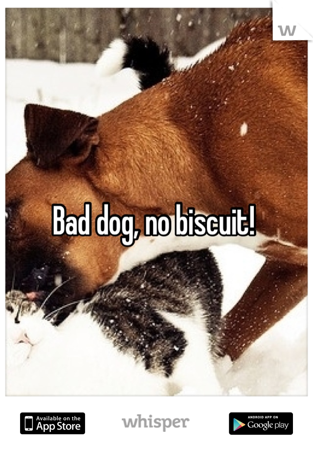 Bad dog, no biscuit! 