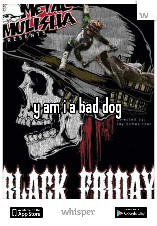 y am i a bad dog