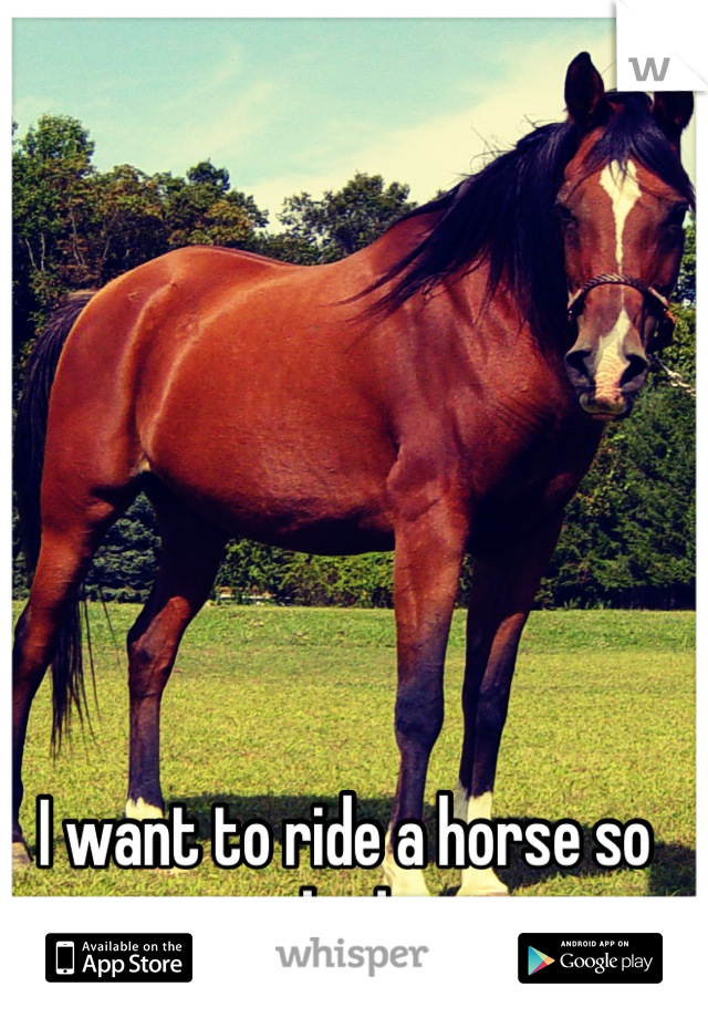 I want to ride a horse so bad