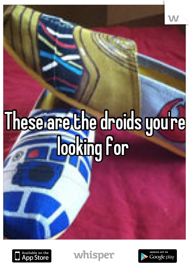 These are the droids you're looking for 