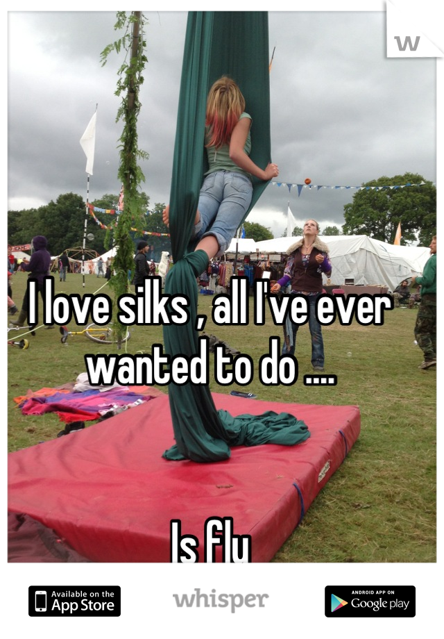 I love silks , all I've ever wanted to do .... 


Is fly