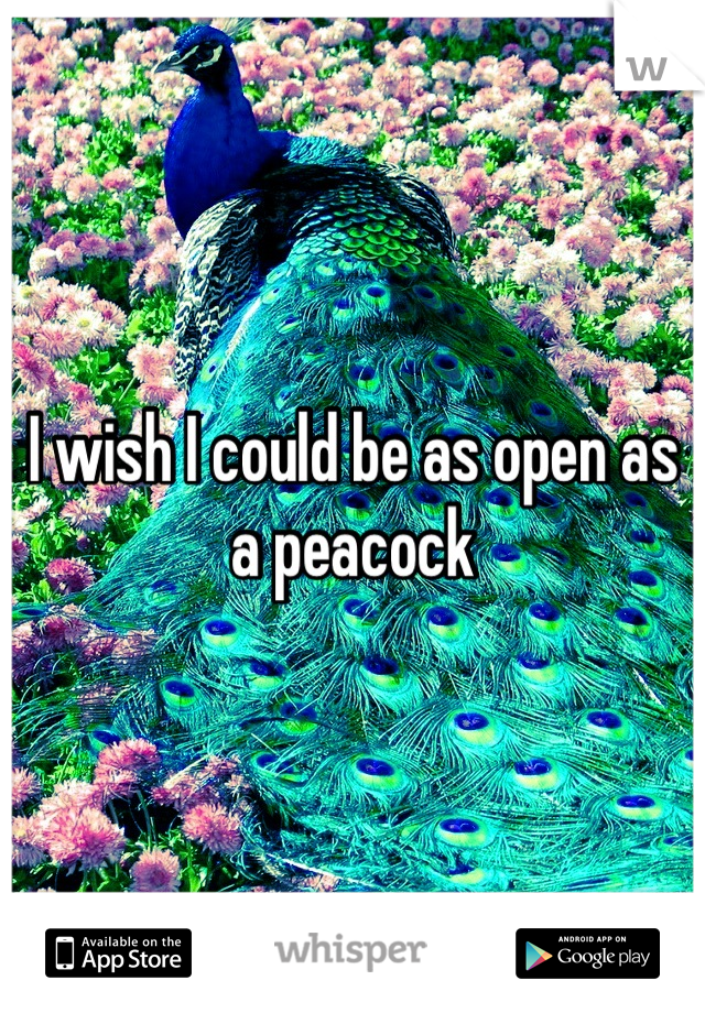 I wish I could be as open as a peacock