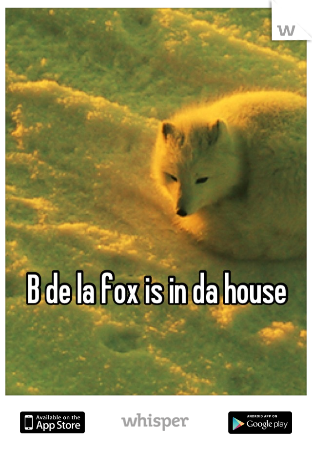 B de la fox is in da house