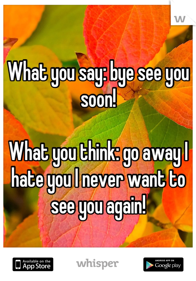 What you say: bye see you soon!

What you think: go away I hate you I never want to see you again!