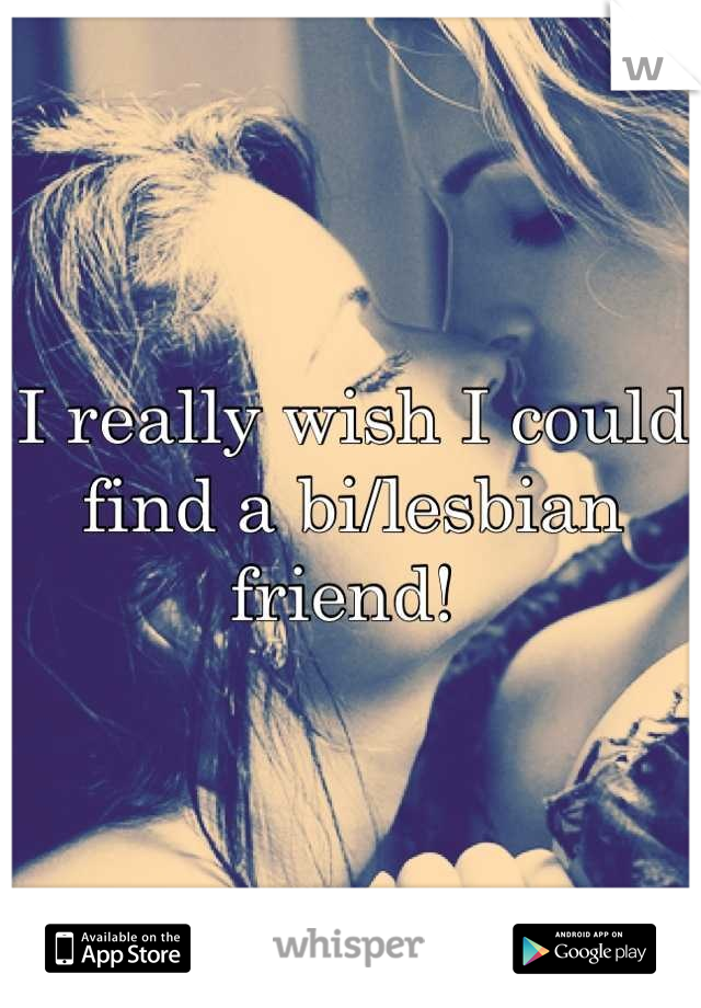 I really wish I could find a bi/lesbian friend! 