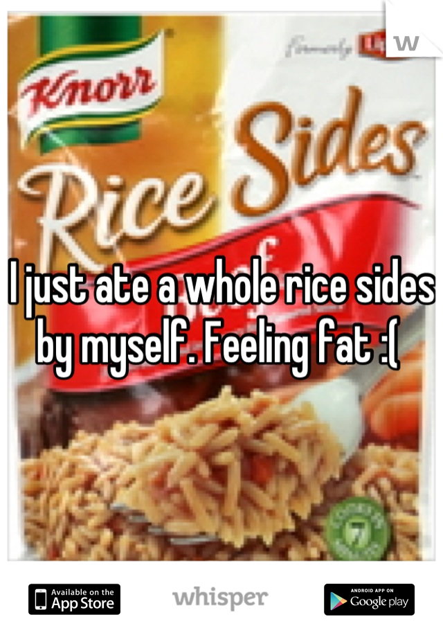 I just ate a whole rice sides by myself. Feeling fat :( 