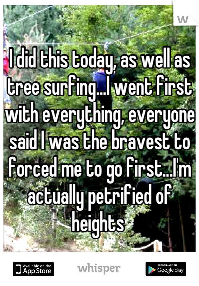 I did this today, as well as tree surfing...I went first with everything, everyone said I was the bravest to forced me to go first...I'm actually petrified of heights 