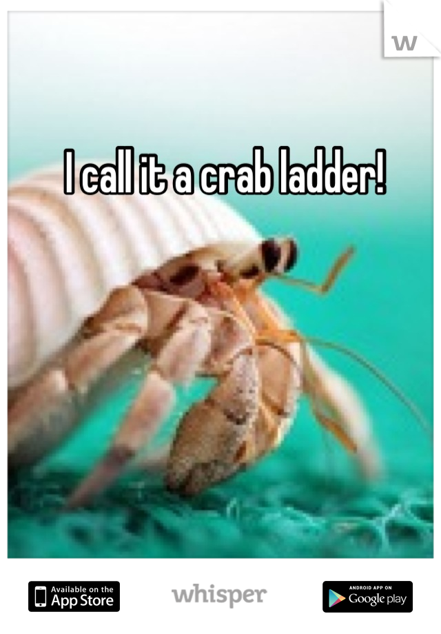 I call it a crab ladder!