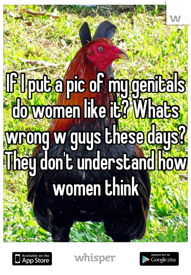 If I put a pic of my genitals do women like it? Whats wrong w guys these days? They don't understand how women think