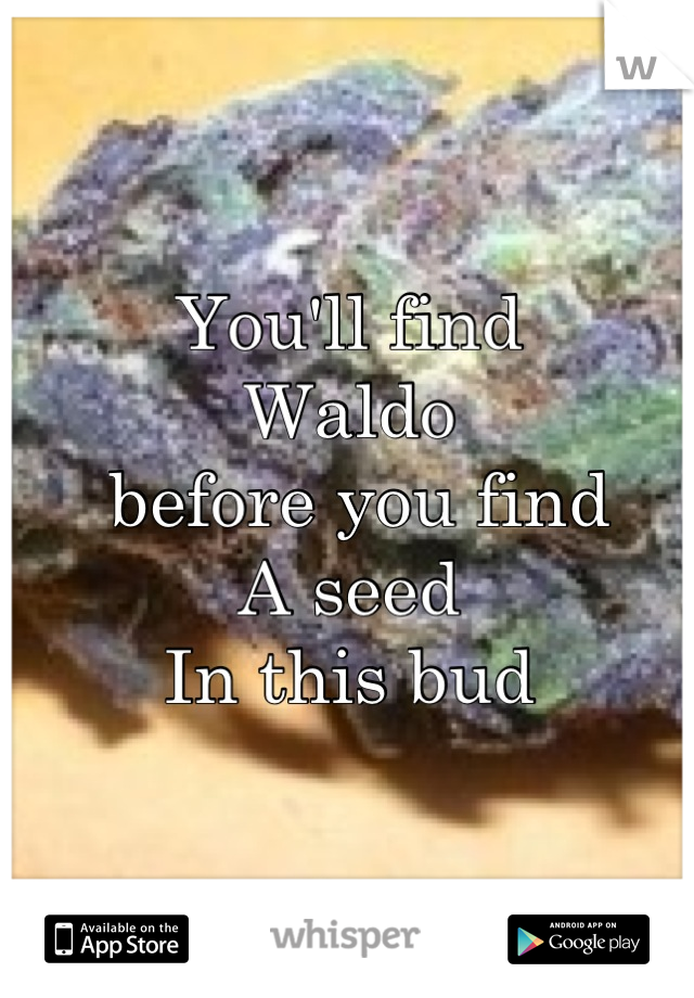 You'll find
Waldo
 before you find 
A seed 
In this bud