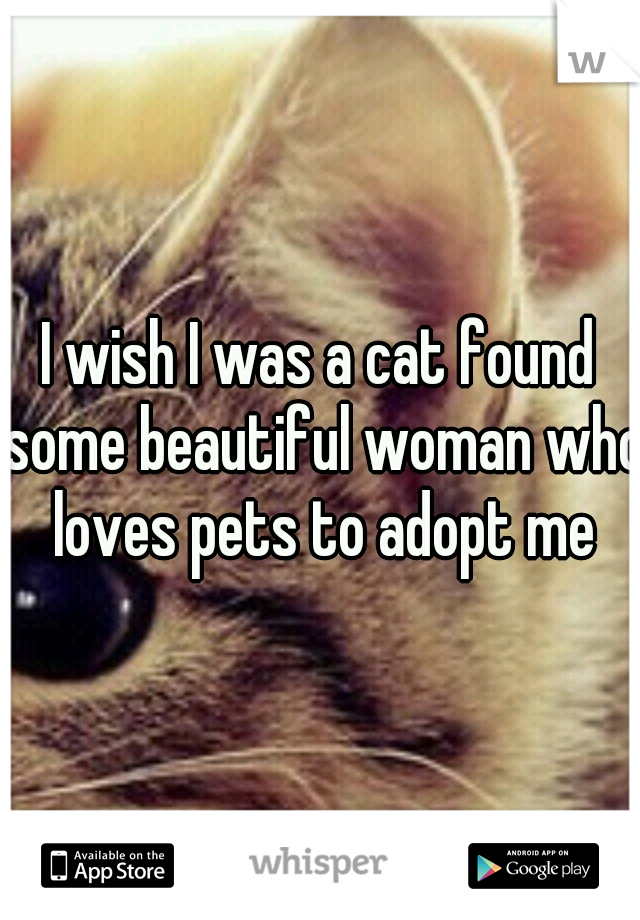 I wish I was a cat found some beautiful woman who loves pets to adopt me