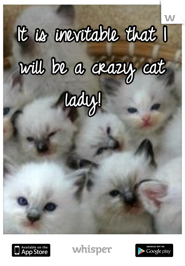 It is inevitable that I will be a crazy cat lady!  