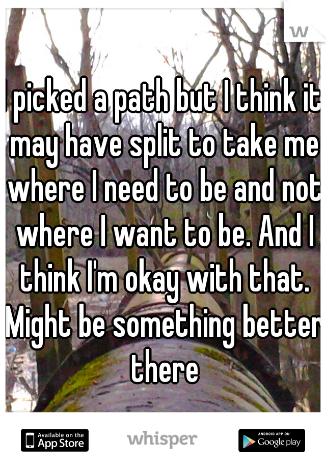 I picked a path but I think it may have split to take me where I need to be and not where I want to be. And I think I'm okay with that. Might be something better there