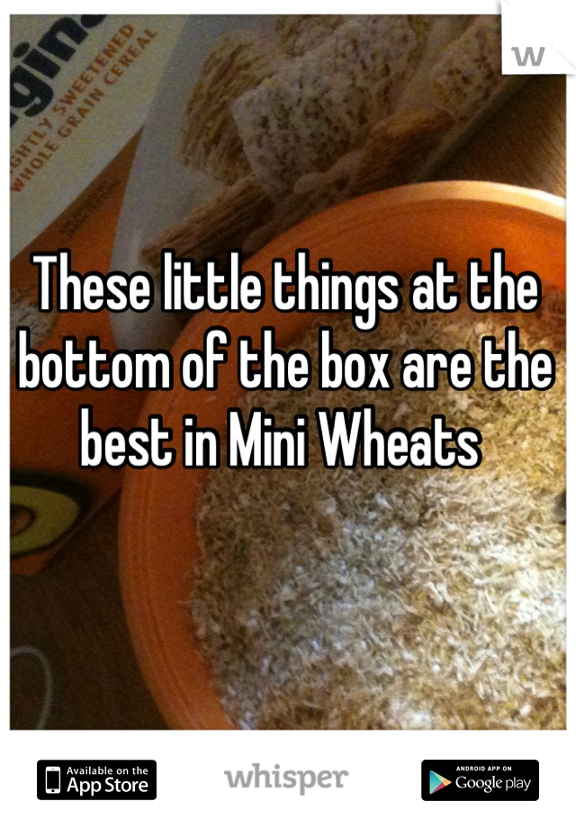 These little things at the bottom of the box are the best in Mini Wheats 