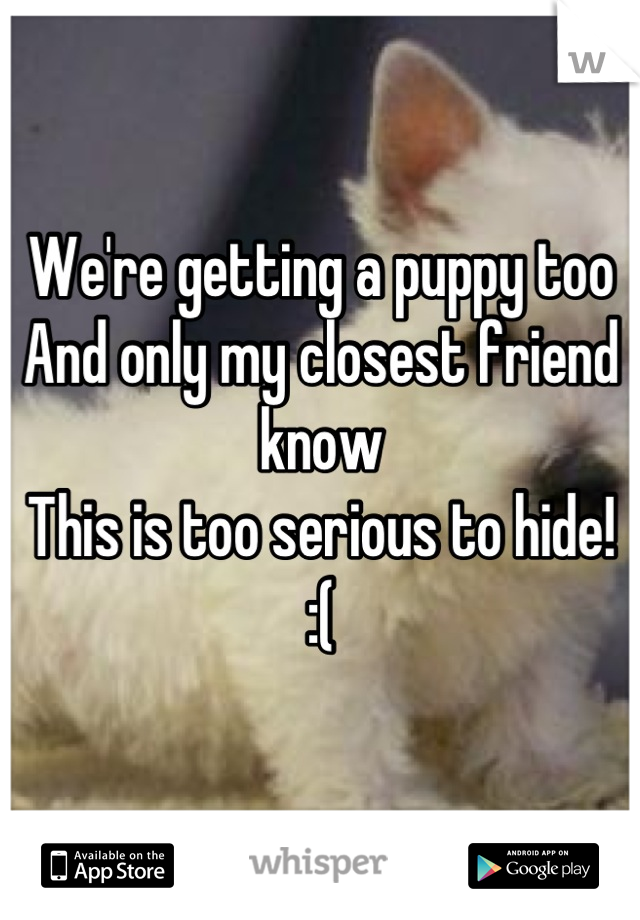 We're getting a puppy too
And only my closest friend know
This is too serious to hide!
:(