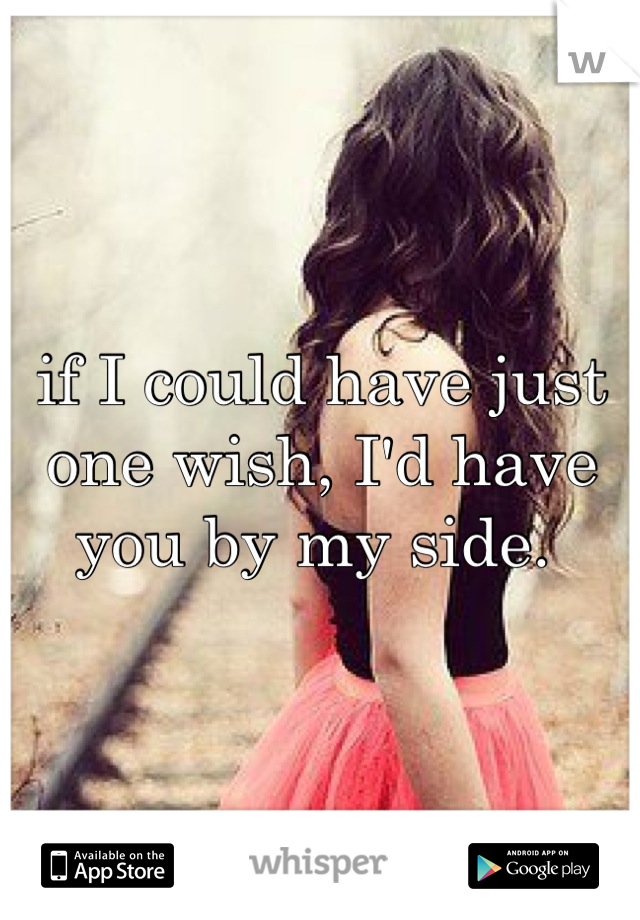 if I could have just one wish, I'd have you by my side. 