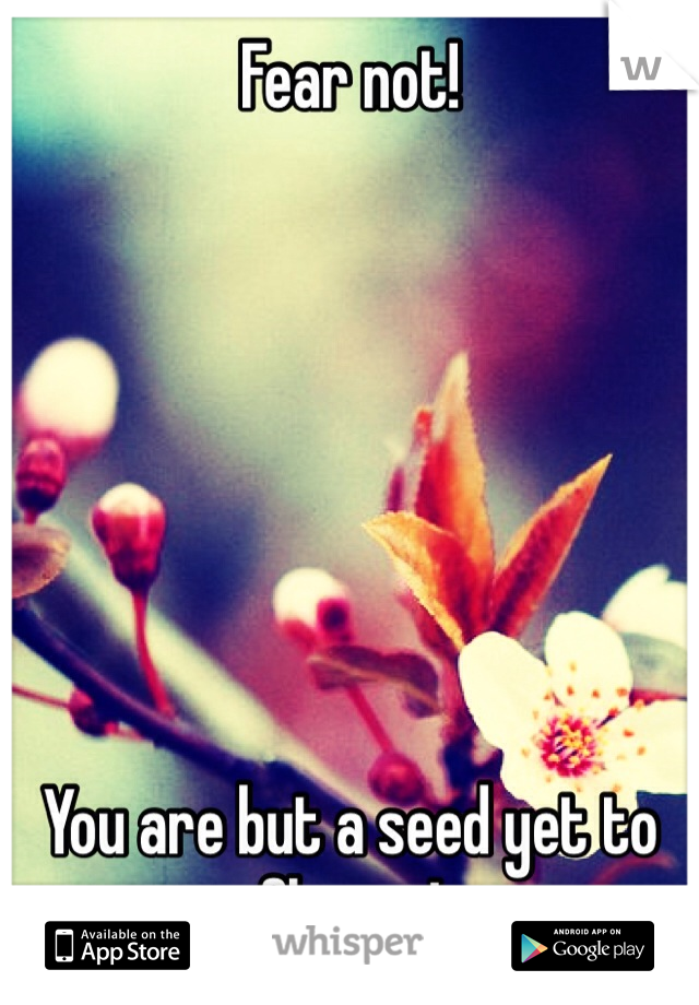 Fear not! 







You are but a seed yet to flower!