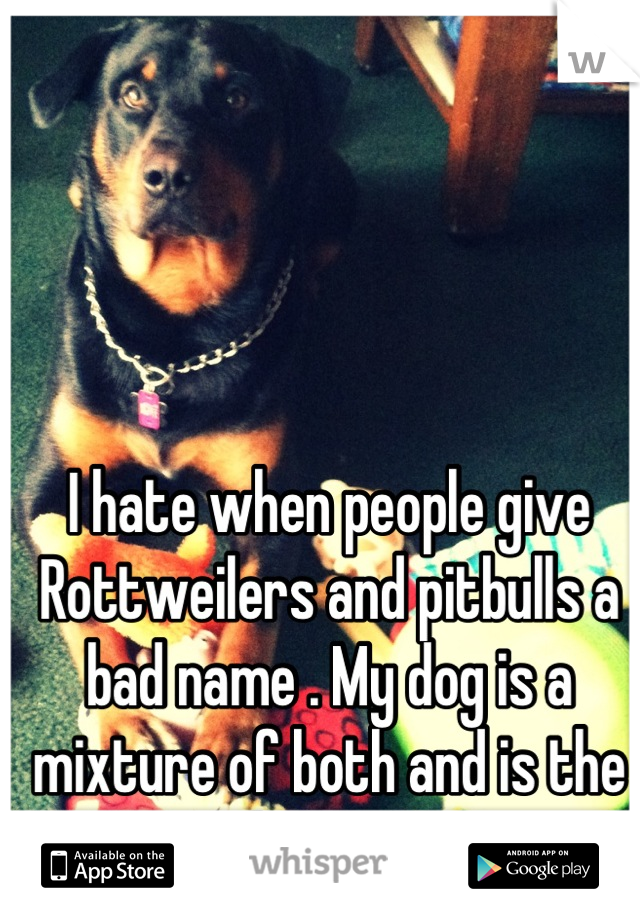 I hate when people give Rottweilers and pitbulls a bad name . My dog is a mixture of both and is the nicest dog I ever met 
