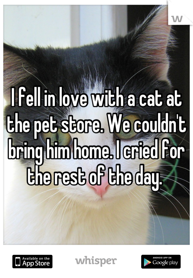 I fell in love with a cat at the pet store. We couldn't bring him home. I cried for the rest of the day. 