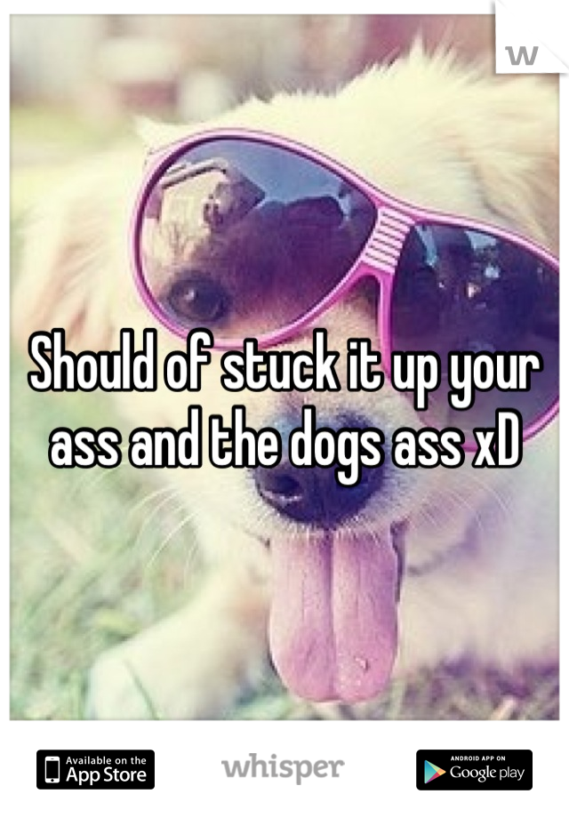 Should of stuck it up your ass and the dogs ass xD