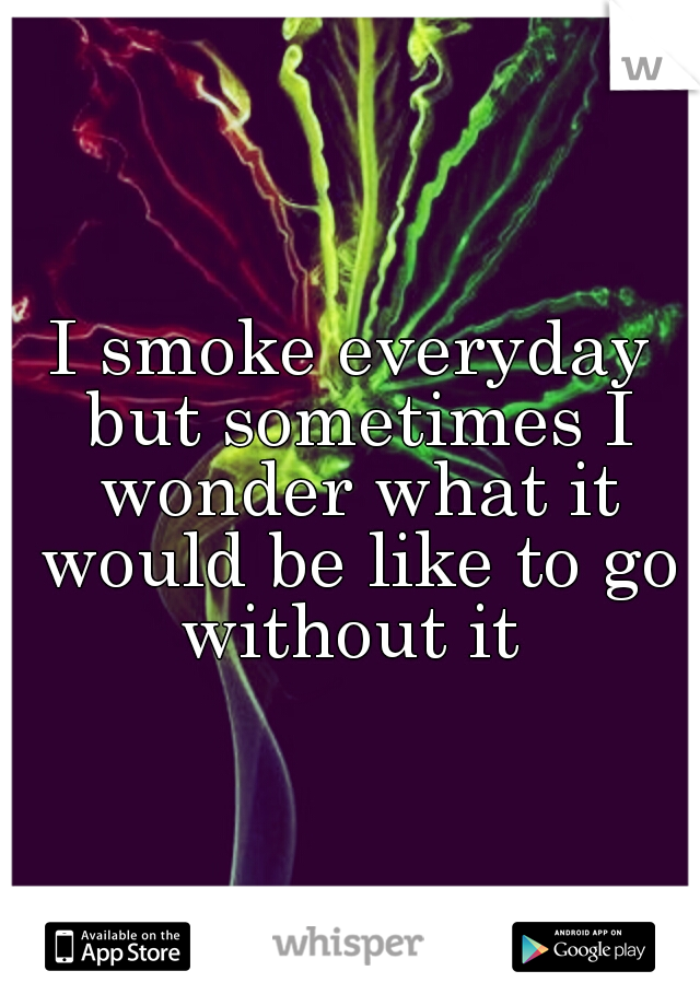 I smoke everyday but sometimes I wonder what it would be like to go without it 