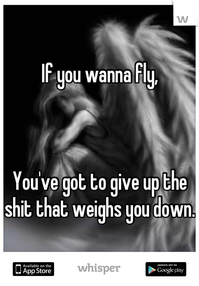 If you wanna fly, 



You've got to give up the 
shit that weighs you down.