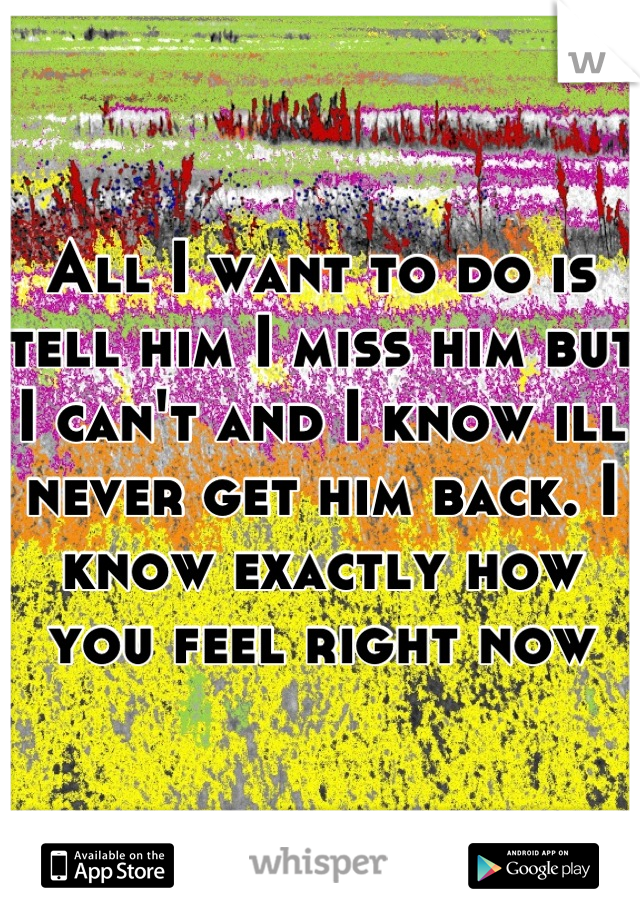 All I want to do is tell him I miss him but I can't and I know ill never get him back. I know exactly how you feel right now
