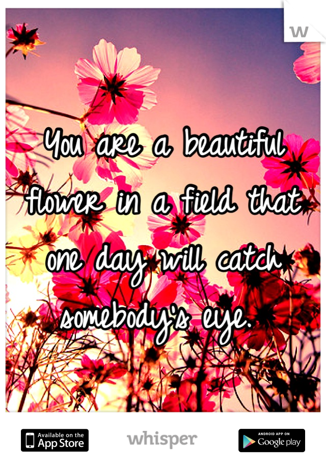 You are a beautiful flower in a field that one day will catch somebody's eye. 