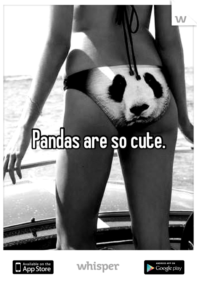 Pandas are so cute.
