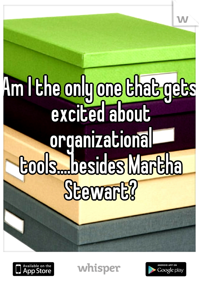 Am I the only one that gets excited about organizational tools....besides Martha Stewart?