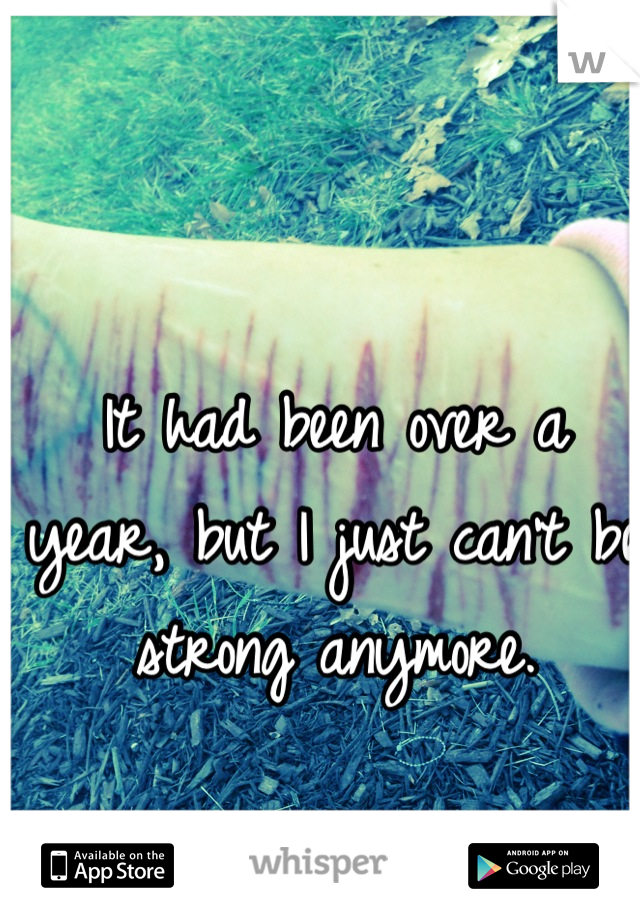 It had been over a year, but I just can't be strong anymore.