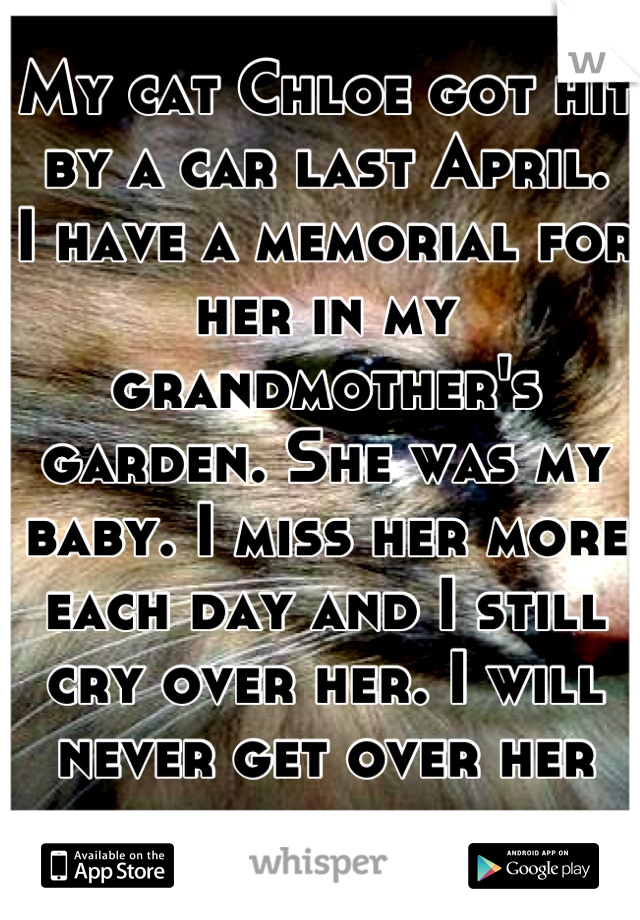 My cat Chloe got hit by a car last April.
I have a memorial for her in my grandmother's garden. She was my baby. I miss her more each day and I still cry over her. I will never get over her death.