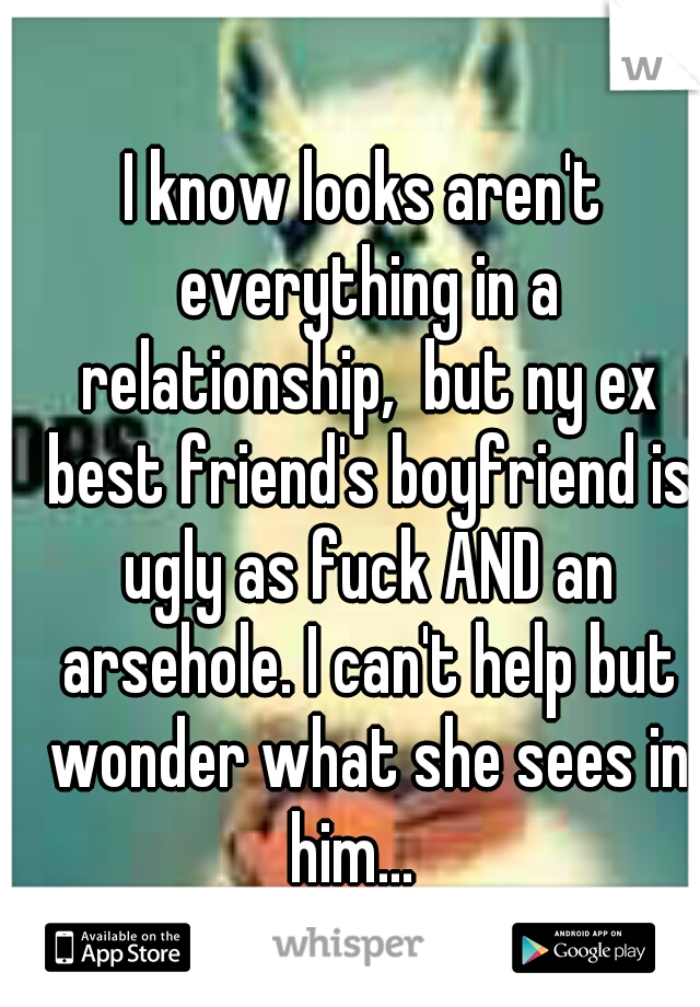 I know looks aren't everything in a relationship,  but ny ex best friend's boyfriend is ugly as fuck AND an arsehole. I can't help but wonder what she sees in him...

