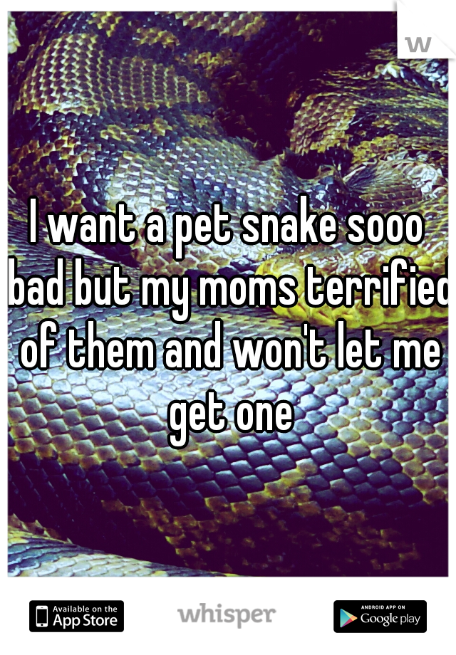 I want a pet snake sooo bad but my moms terrified of them and won't let me get one