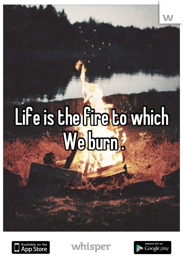 Life is the fire to which
 We burn .