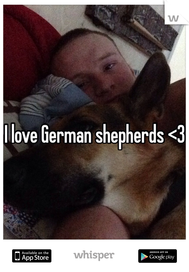 I love German shepherds <3