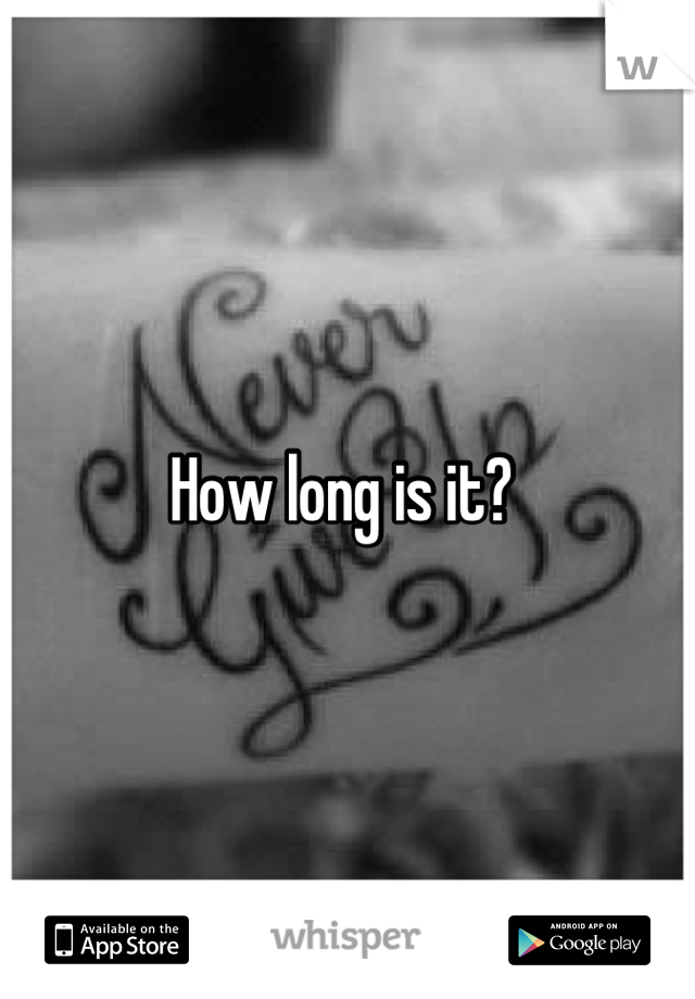 How long is it? 