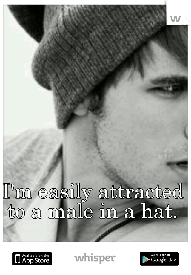 I'm easily attracted to a male in a hat. 