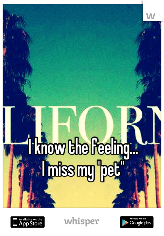I know the feeling...
I miss my "pet"