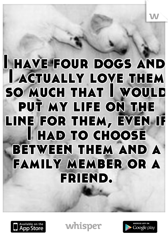 I have four dogs and I actually love them so much that I would put my life on the line for them, even if I had to choose between them and a family member or a friend.