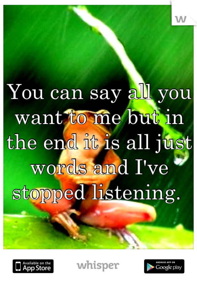 You can say all you want to me but in the end it is all just words and I've stopped listening. 