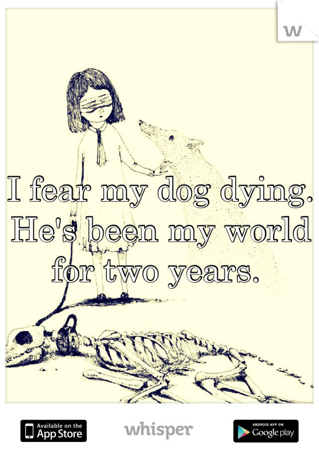 I fear my dog dying. He's been my world for two years. 