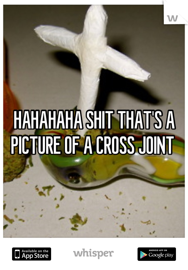 HAHAHAHA SHIT THAT'S A PICTURE OF A CROSS JOINT 