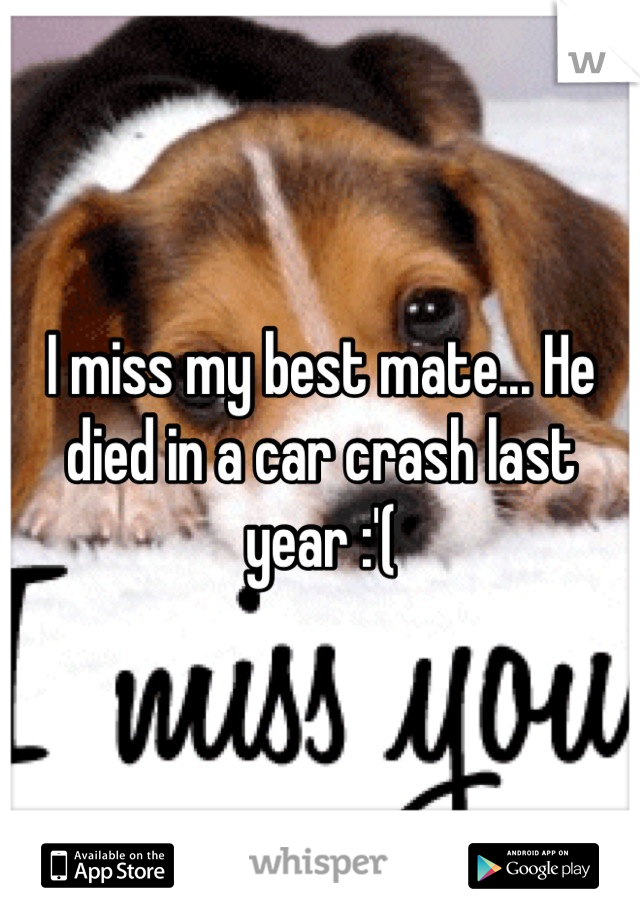 I miss my best mate... He died in a car crash last year :'(