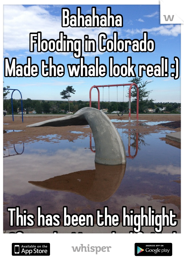 Bahahaha
Flooding in Colorado
Made the whale look real! :)





This has been the highlight
Of my day! I need a life! Lol