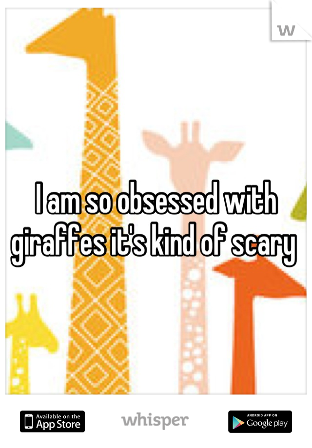 I am so obsessed with giraffes it's kind of scary 
