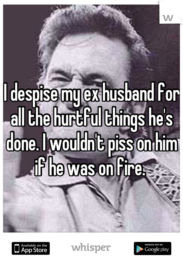 I despise my ex husband for all the hurtful things he's done. I wouldn't piss on him if he was on fire. 