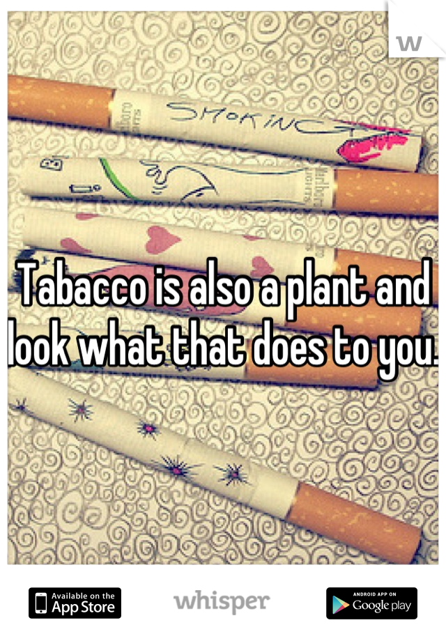 Tabacco is also a plant and look what that does to you.