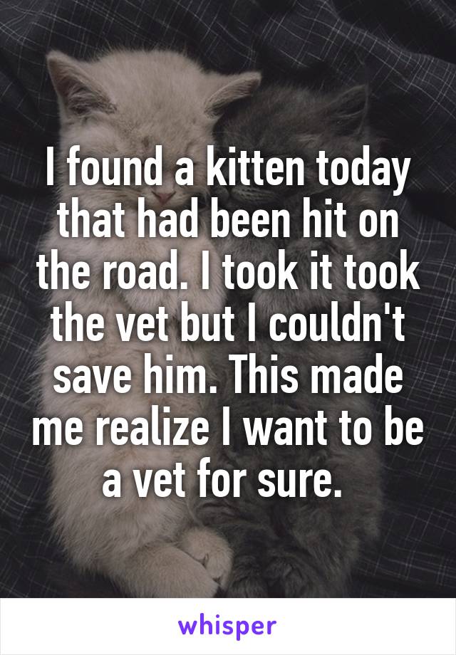 I found a kitten today that had been hit on the road. I took it took the vet but I couldn't save him. This made me realize I want to be a vet for sure. 
